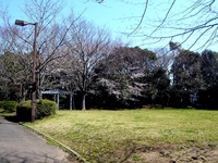 20120407_習志野市秋津4_習志野緑地_秋津公園_桜_0917_DSC09574