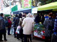 20121208_船橋市宮本5_船橋大神宮_ふなばし朝市_0911_DSC05230