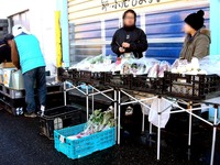 20131116_船橋市湊町3_船橋魚港_岸壁_朝市_1005_DSC08847
