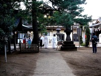 20131231_市川市八幡4_葛飾八幡宮_茅の輪くぐり_1616_DSC08138