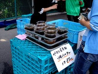 20120623_船橋市夏見1_焼肉やまと駐車場_朝市_0911_DSC00070