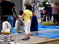 20120603_船橋市_海老川親水市民まつり_まるごみ_1205_DSC07688