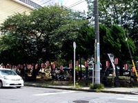 20130721_八坂神社祭礼_津田沼ふれあい夏祭り_1121_DSC00333