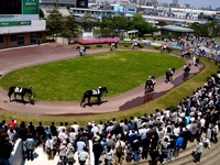 20130506_船橋競馬_新投票所_かしわ記念_ふっなしー_1048_DSC05607