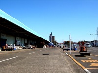 20121104_船橋市市場1_船橋市中央卸売市場_1246_DSC00328