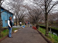 20130320_船橋市_海老川_サクラ_露店_桜_1241_DSC06307