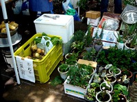 20120603_船橋市_海老川親水市民まつり_まるごみ_1130_DSC07524