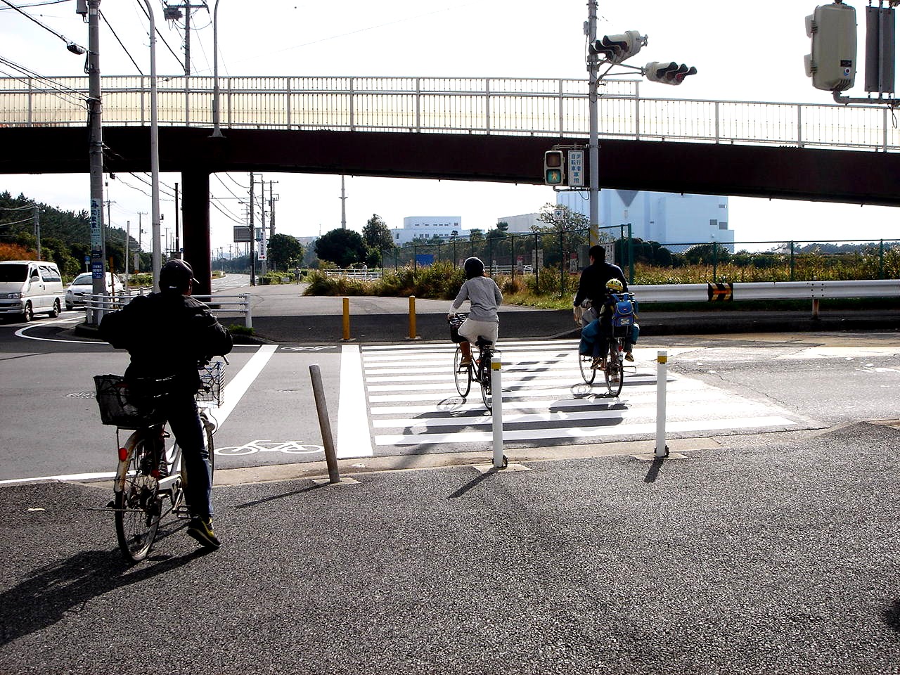 自転車 免許 ない 理由