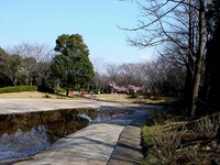 20130317_習志野市香澄5_海浜香澄公園_じゃぶじゃぶ池_1424_DSC05654