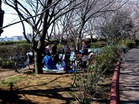 20120408_船橋市_海老川ジョギングロード_サクラ_0932_DSC08071