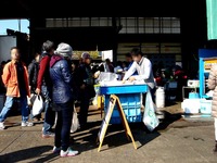 20131116_船橋市湊町3_船橋魚港_岸壁_朝市_1004_DSC08839