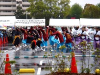 20130421_船橋市山手地区_YOSAKOI船橋_よさこい_1223_DSC02671T