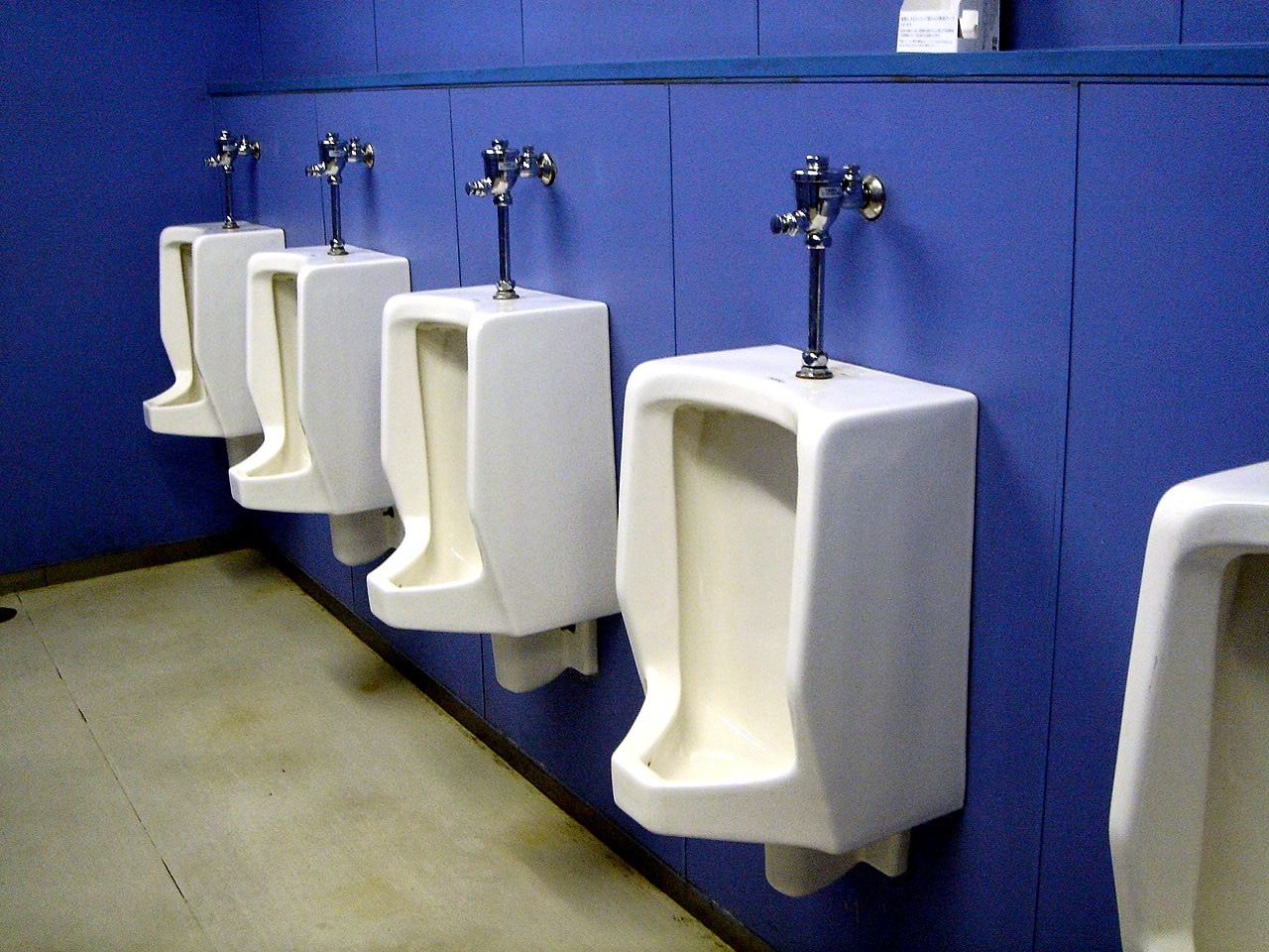 街で見つけた変なもの トイレの神様編 333 ビビット2013 2012