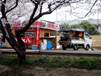 20130330_船橋市_海老川ジョギングロード_桜_1325_DSC09107