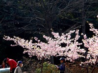 20130317_習志野市香澄5_海浜香澄公園_じゃぶじゃぶ池_1422_DSC05646