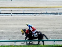 20130715_よみうりランド船橋競馬場太陽光発電所_1147_DSC08532