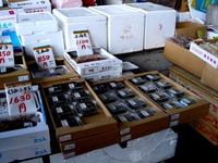 20120303_船橋市市場1_船橋中央卸売市場_ふなばし楽市_0931_DSC06369