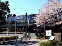 20120407_習志野市秋津3_習志野緑地_秋津公園_桜_0924_DSC09626