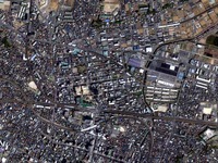 20121201_ふなばし楽市_船橋市中央卸売市場_310