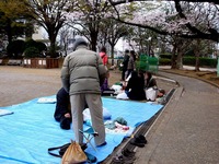 20130330_船橋市本町7_天沼弁天池公園_桜_1257_DSC08919