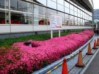 20120526_習志野市茜浜2_千葉県国際総合水泳場_1445_DSC06203