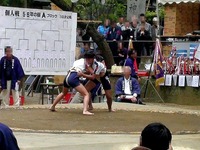 20131019_船橋市宮本5_船橋大神宮奉納相撲大会_1022_DSC04565