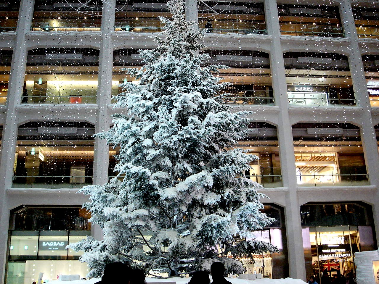 冬の風13 14 東京kitteのクリスマスツリー編 21 ビビット13 12 冬の風13 14 東京kitteのクリスマスツリー編 21 ビビット13 12