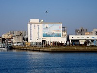 20131116_船橋市湊町3_船橋魚港_岸壁_朝市_0959_DSC08825