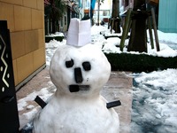 20140209_関東に大雪_千葉県船橋市南船橋地区_1525_DSC04548