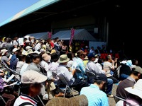 20140518_船橋市市場1_船橋市場だョ!全員集合_1035_DSC00990