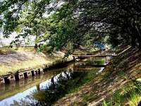 20140531_船橋市_第29回海老川親水市民まつり_1116_DSC02994