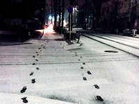 20160119_東京都_強い冬型の低気圧_積雪_大雪_0806_DSC00036T