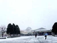 20140208_浦安市舞浜_東京ディズニーリゾート_大雪_102