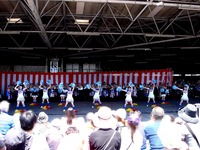 20140518_船橋市市場1_船橋市場だョ!全員集合_1156_DSC01019