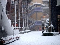 20140208_関東に大雪_千葉県船橋市南船橋地区_1526_DSC04398