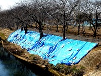 20140222_船橋市_海老川_鷹匠橋_人道橋_1200_DSC06256T