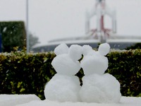 20140208_浦安市舞浜_東京ディズニーリゾート_大雪_312