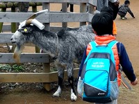 20151122_船橋市金堀町_ふなばしアンデルセン公園_1218_11044