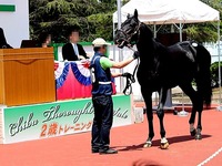 20150515_船橋競馬場_千葉サラブレッドセール_032