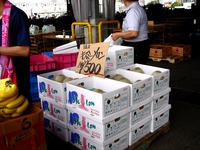 20140830_船橋市地方卸売市場_盆踊り大会_1715_DSC03994