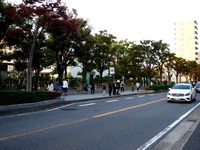 20151024_市川市立大和田小学校_ネズミ_1610_DSC04743