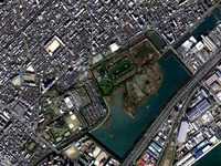 2014年_市川市福栄4_千葉県行徳野鳥観測舎_行徳内陸性湿地_150