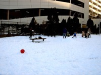 20140209_関東に大雪_千葉県船橋市南船橋地区_1504_DSC04456
