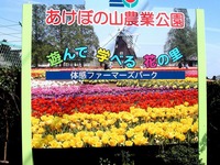 20160409_柏市布施_あけぼの山農業公園_1015_DSC00764