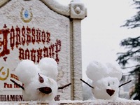 20140208_浦安市舞浜_東京ディズニーリゾート_大雪_712