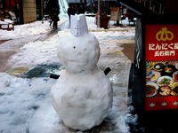 20140209_関東に大雪_千葉県船橋市南船橋地区_1525_DSC04544