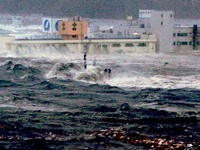 20110311_東日本大震災_宮城県_仙台市_南三陸町_志津川_322