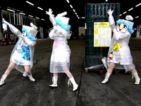 20151011_船橋市場だヨ!全員集合_船橋市場開設45周年_0853_17040