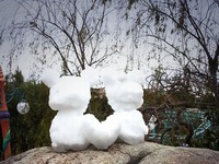 20140208_浦安市舞浜_東京ディズニーリゾート_大雪_542