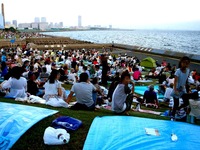 20140802_習志野市茜浜緑地_習志野市民花火大会_1828_DSC03310